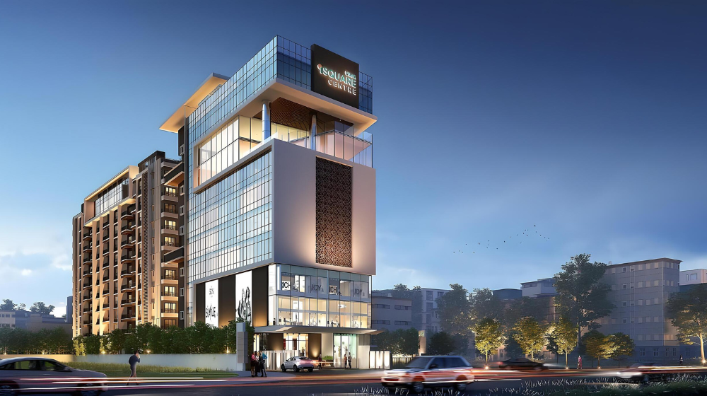 Untitled design (61)