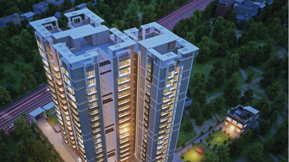 Untitled design (51)