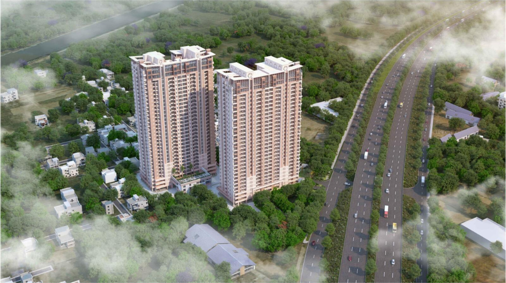 Untitled design (54)