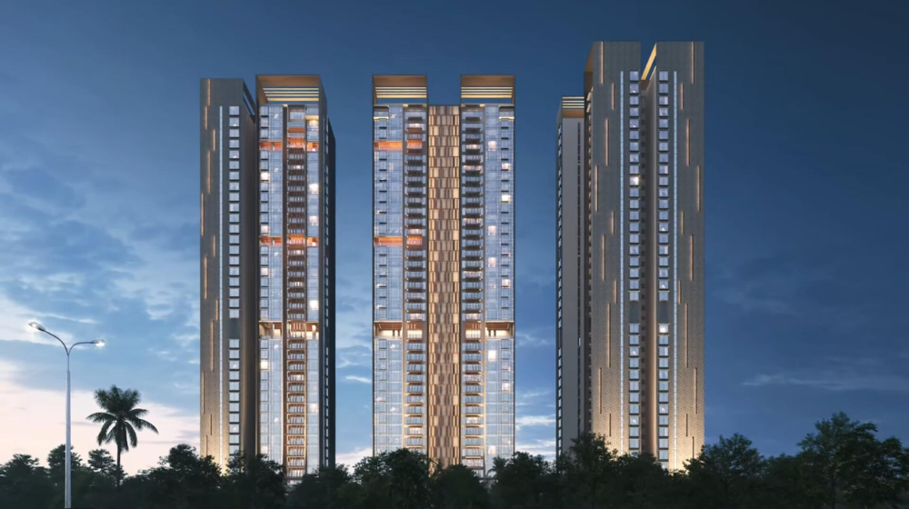 Untitled design (55)